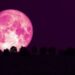 The Magical Strawberry Moon 2025
